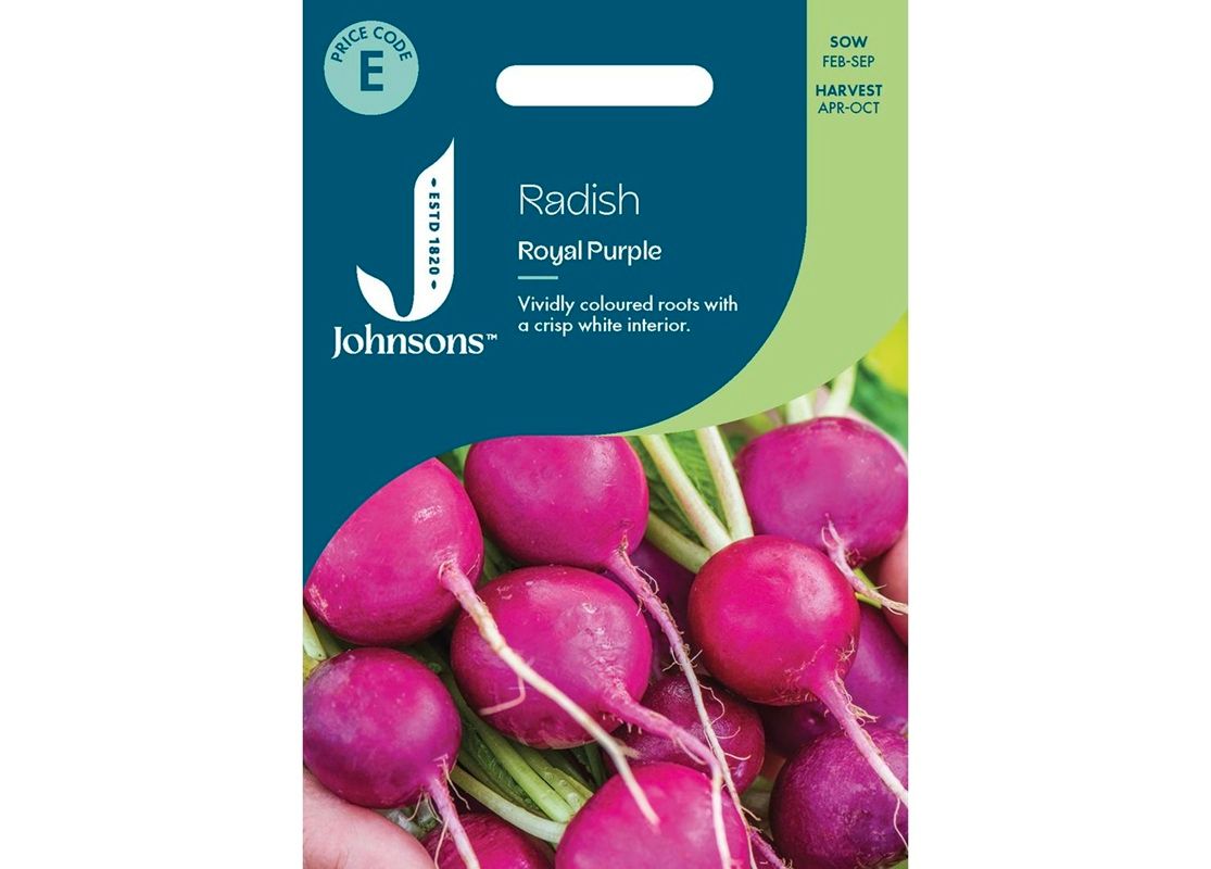 RADISH Royal Purple RADISH Royal Purple