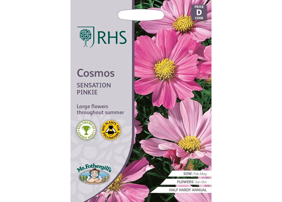 RHS COSMOS Sensation Pinkie RHS COSMOS Sensation Pinkie