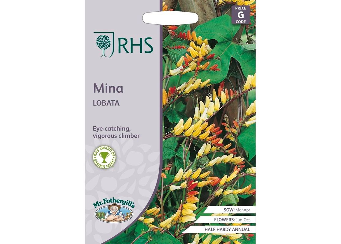 RHS MINA lobata