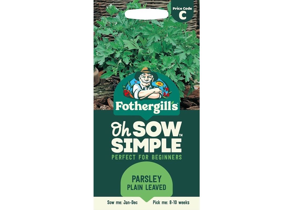 PARSLEY Plain Leaved 2 PARSLEY Plain Leaved 2