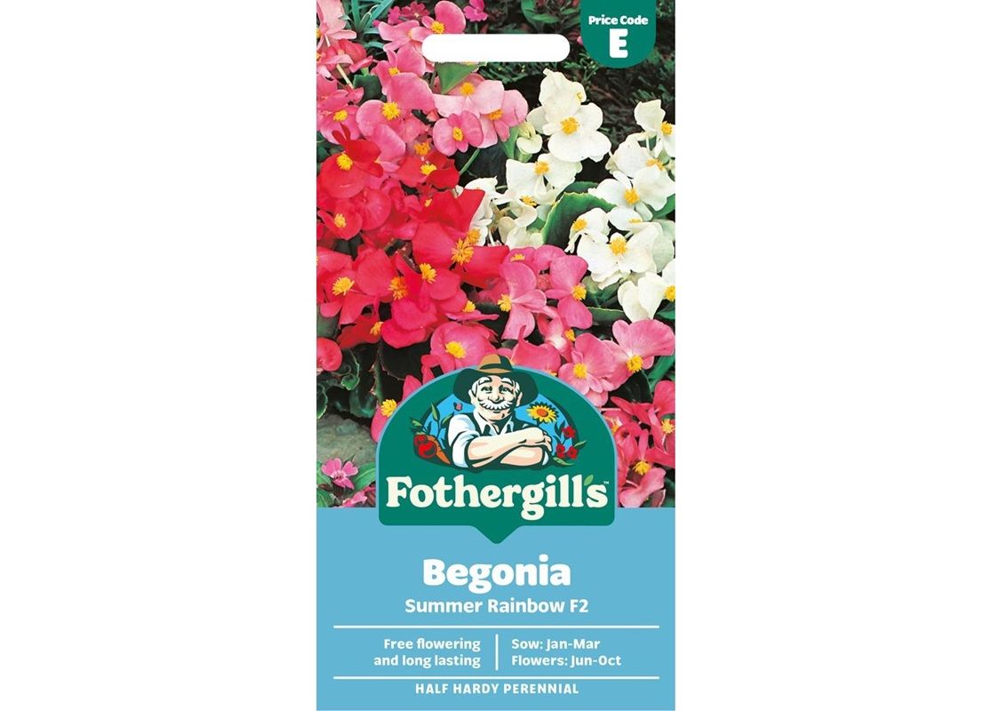 BEGONIA Summer Rainbow F2