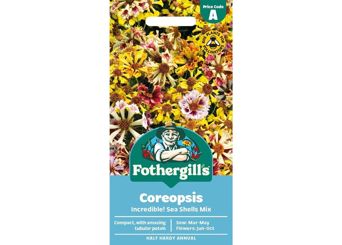 COREOPSIS Incredible! Sea Shells Mix COREOPSIS Incredible! Sea Shells Mix