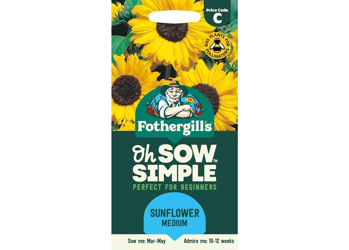 SUNFLOWER Hallo SUNFLOWER Hallo