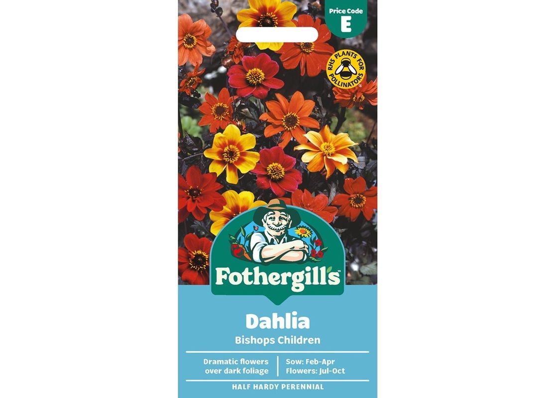 DAHLIA Bishops Children