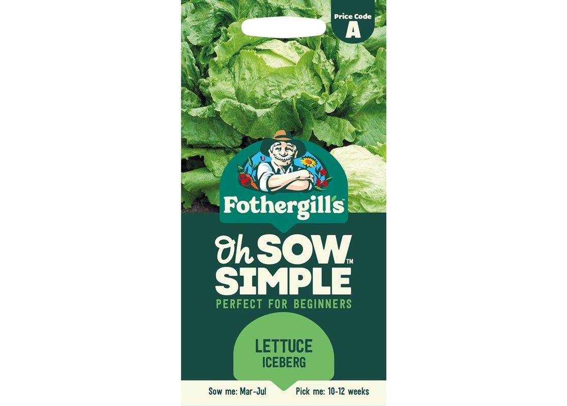 LETTUCE Webbs Wonderful LETTUCE Webbs Wonderful