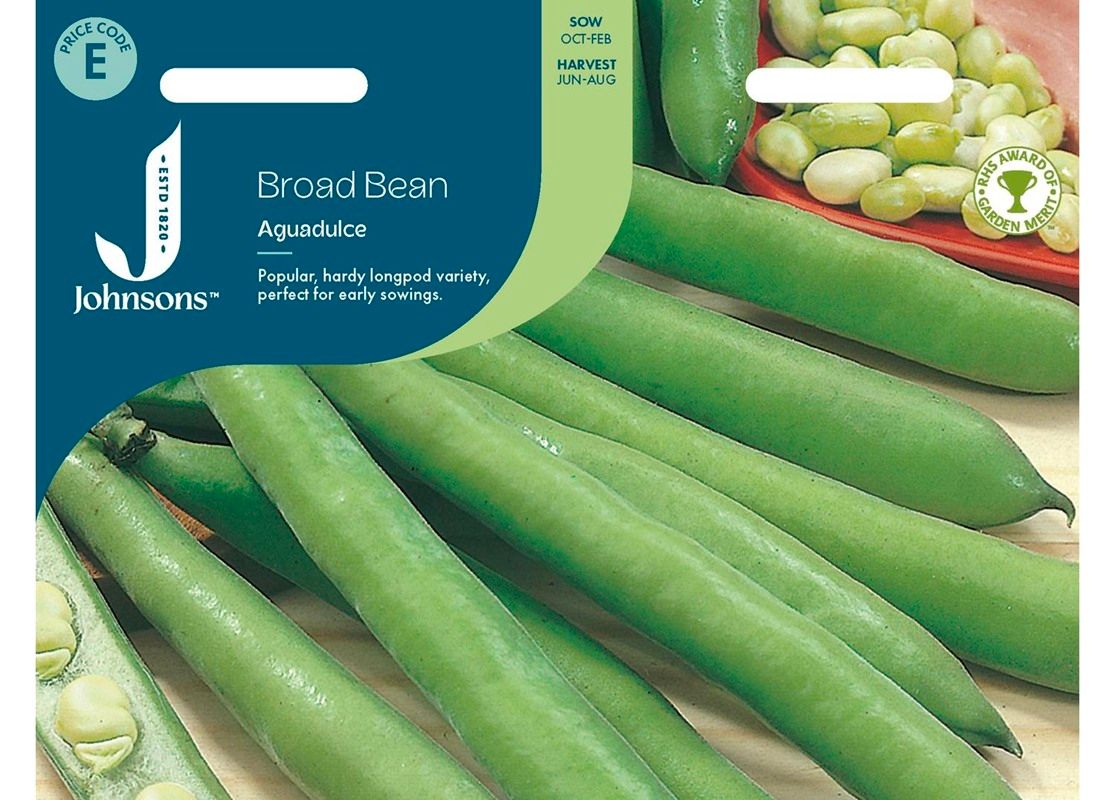 BROAD BEAN Aguadulce