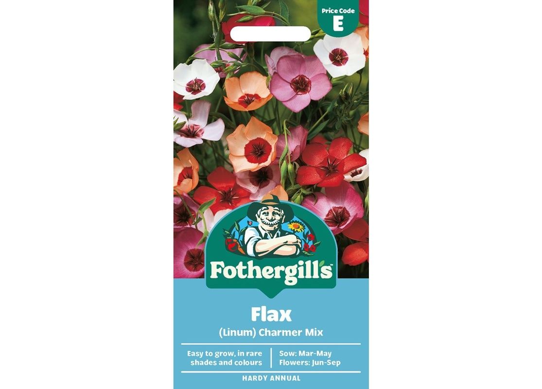 FLAX (Linum) Charmer Mix FLAX (Linum) Charmer Mix