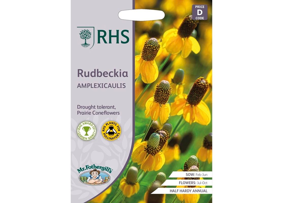 RHS Rudbeckia amplexicaulis