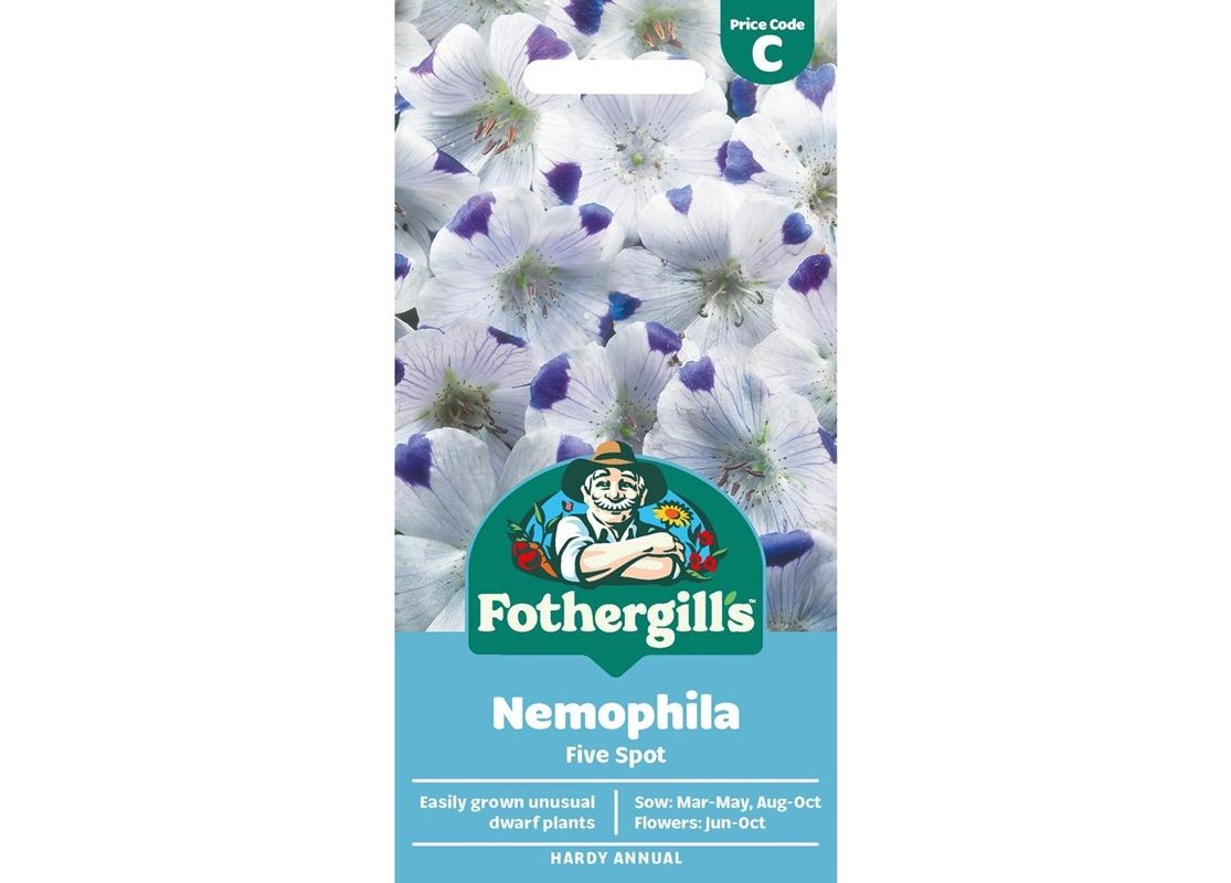 NEMOPHILA Five Spot