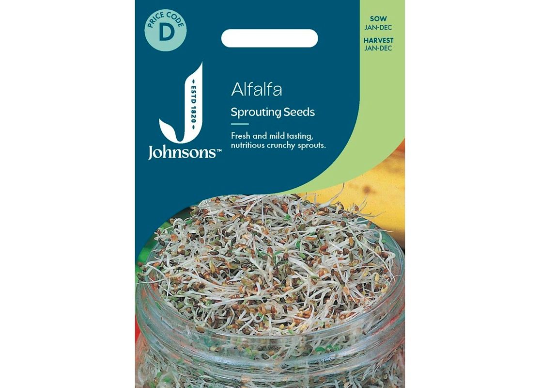ALFALFA Sprouting Seeds ALFALFA Sprouting Seeds