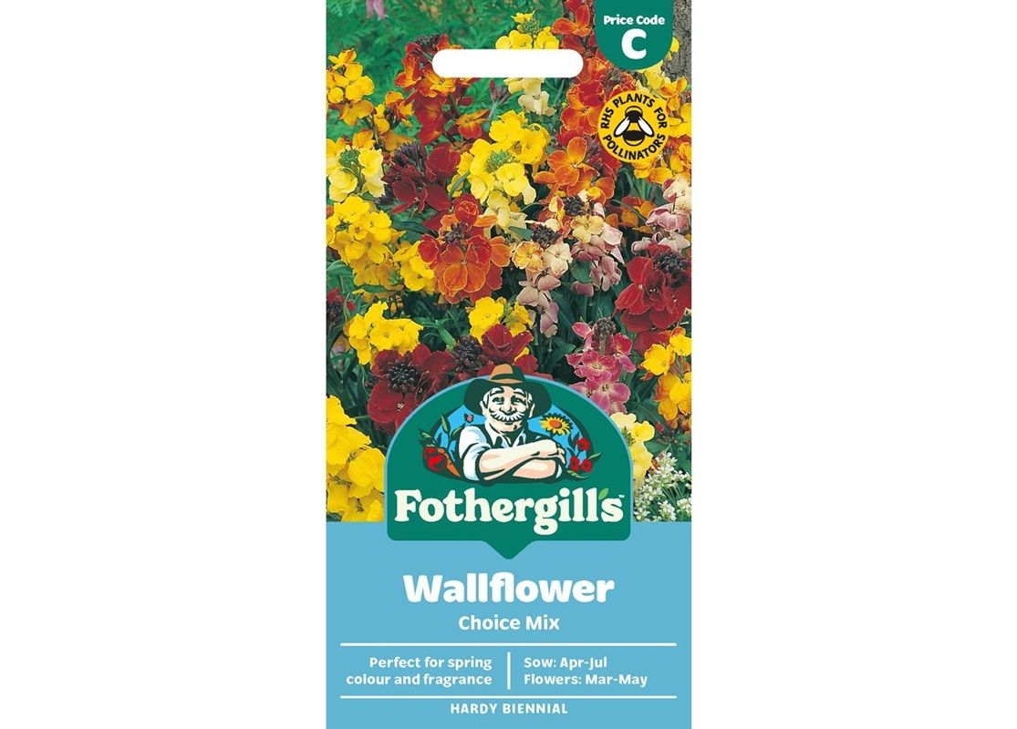 WALLFLOWER Choice Mix WALLFLOWER Choice Mix