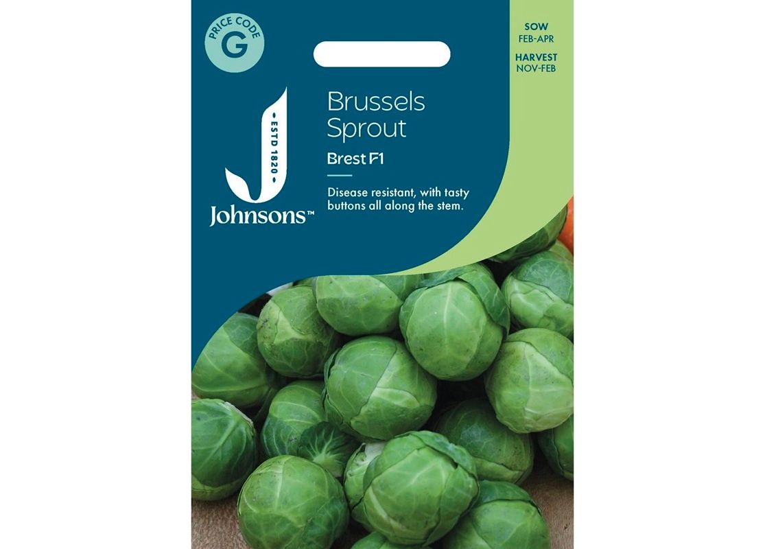 BRUSSELS SPROUT Brest F1