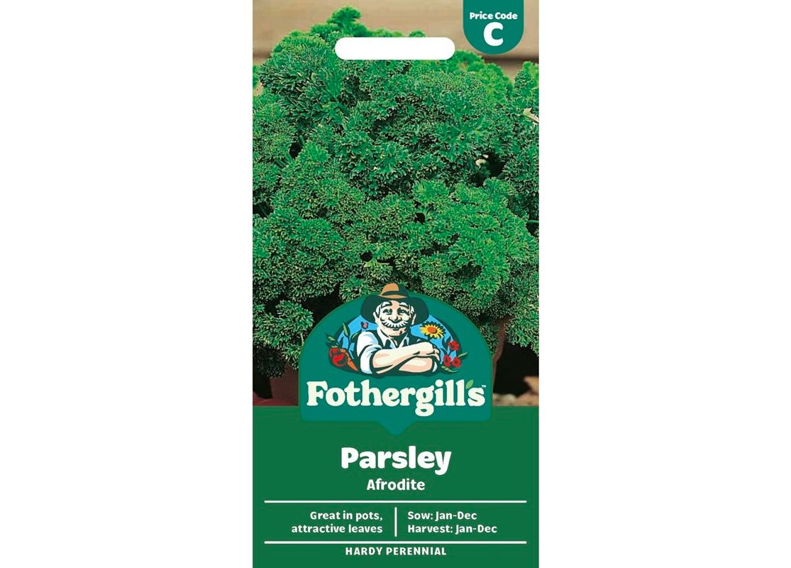 PARSLEY Afrodite