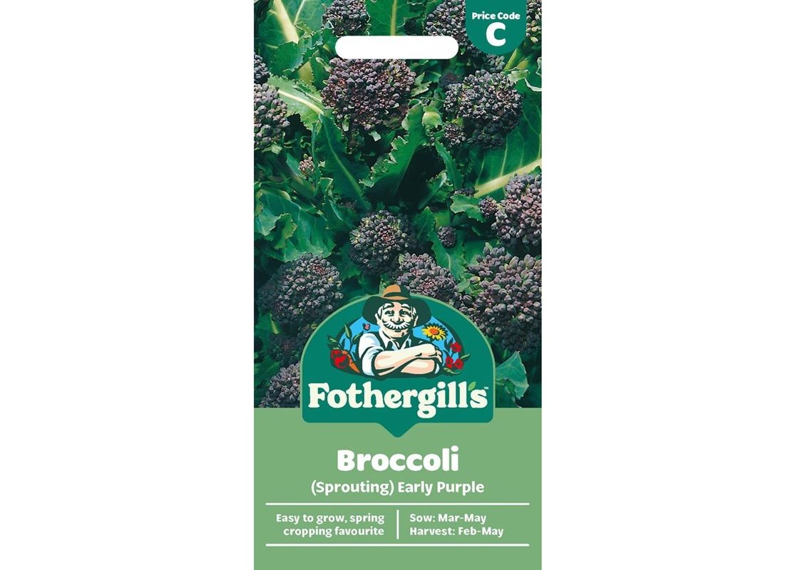 BROCCOLI (Sprouting) Early Purple BROCCOLI (Sprouting) Early Purple