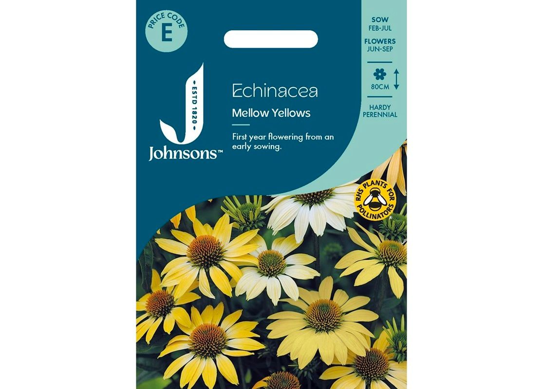 ECHINACEA Mellow Yellows