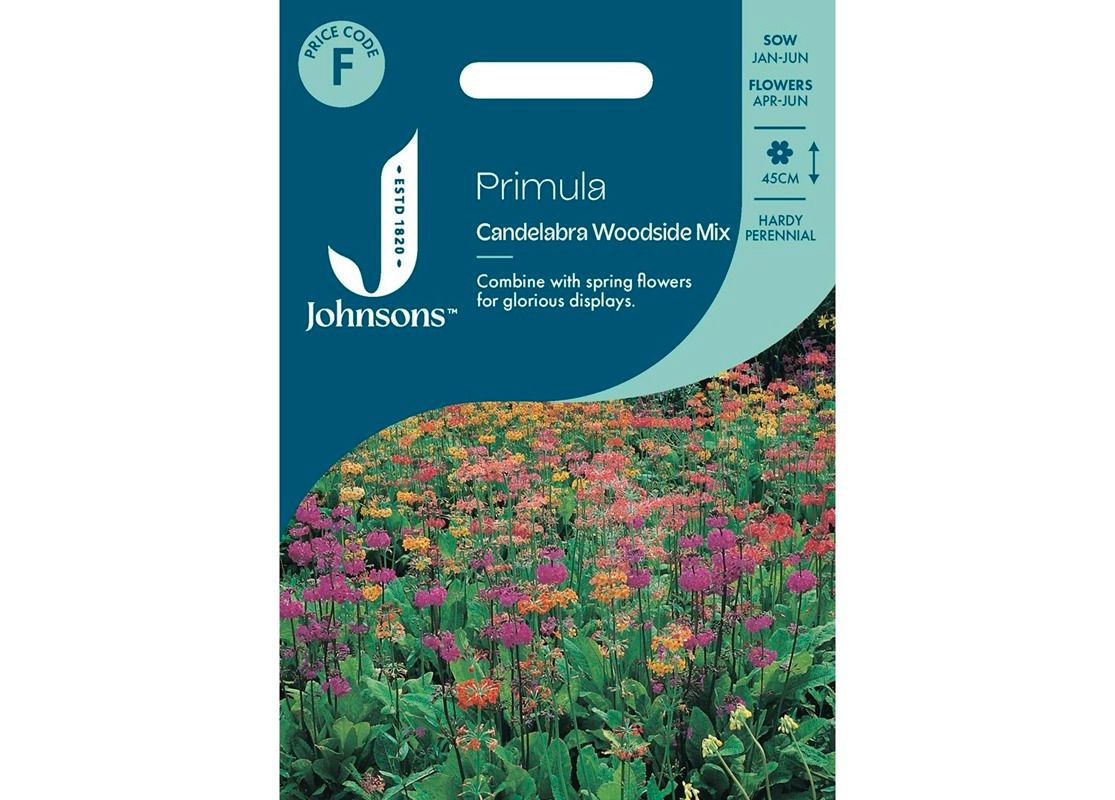 PRIMULA Candelabra Woodside Mix