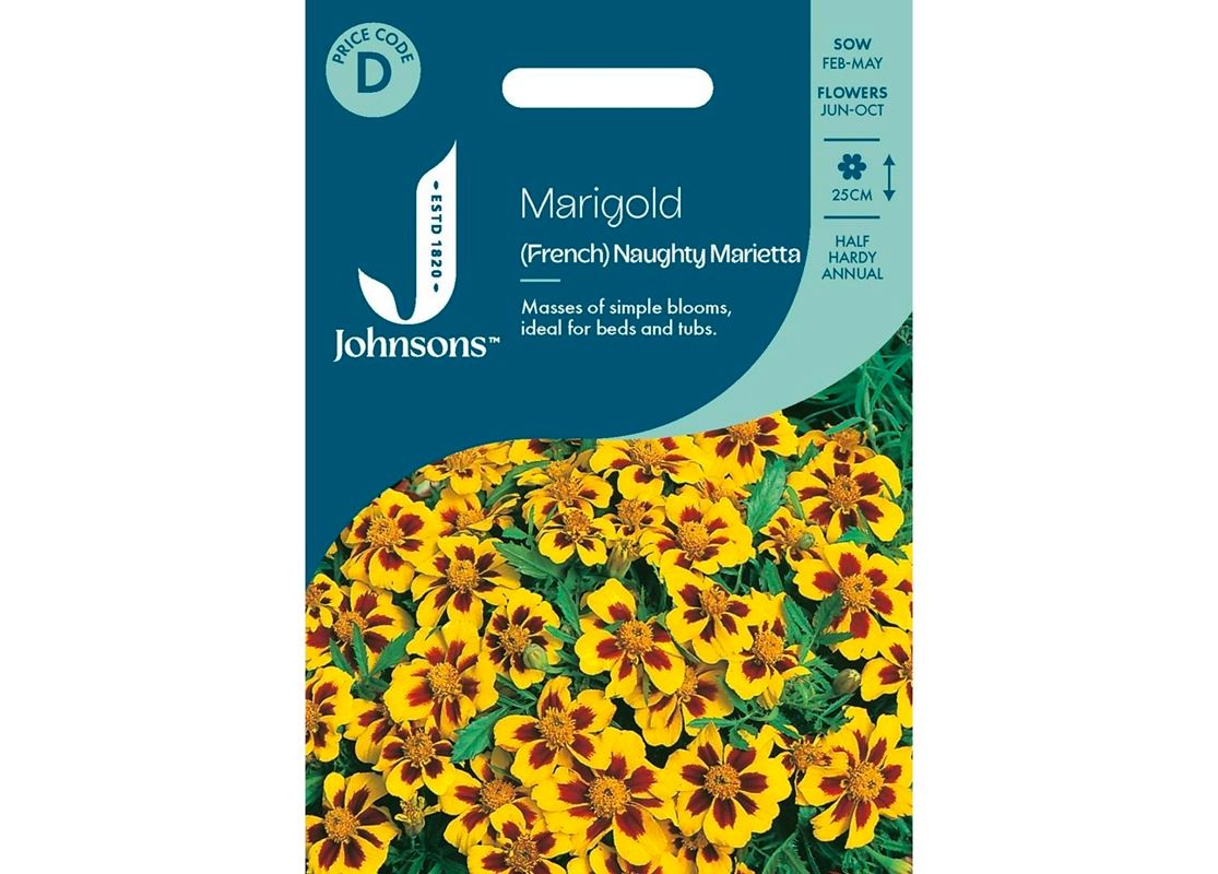 MARIGOLD (French) Naughty Marietta