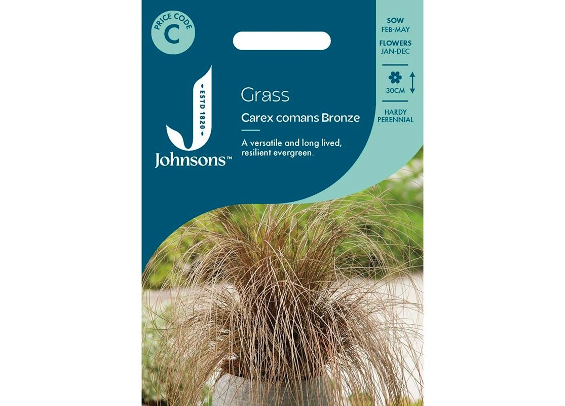 GRASS Carex Comans Bronze