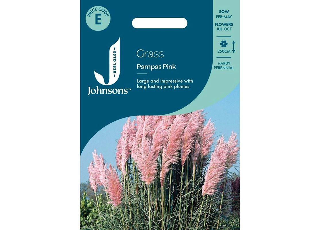 GRASS Pampas Pink