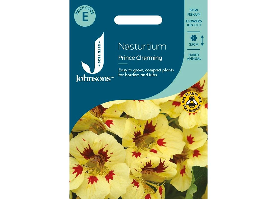 NASTURTIUM Prince Charming