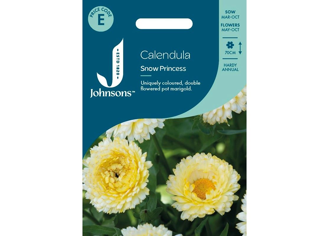 CALENDULA Snow Princess CALENDULA Snow Princess