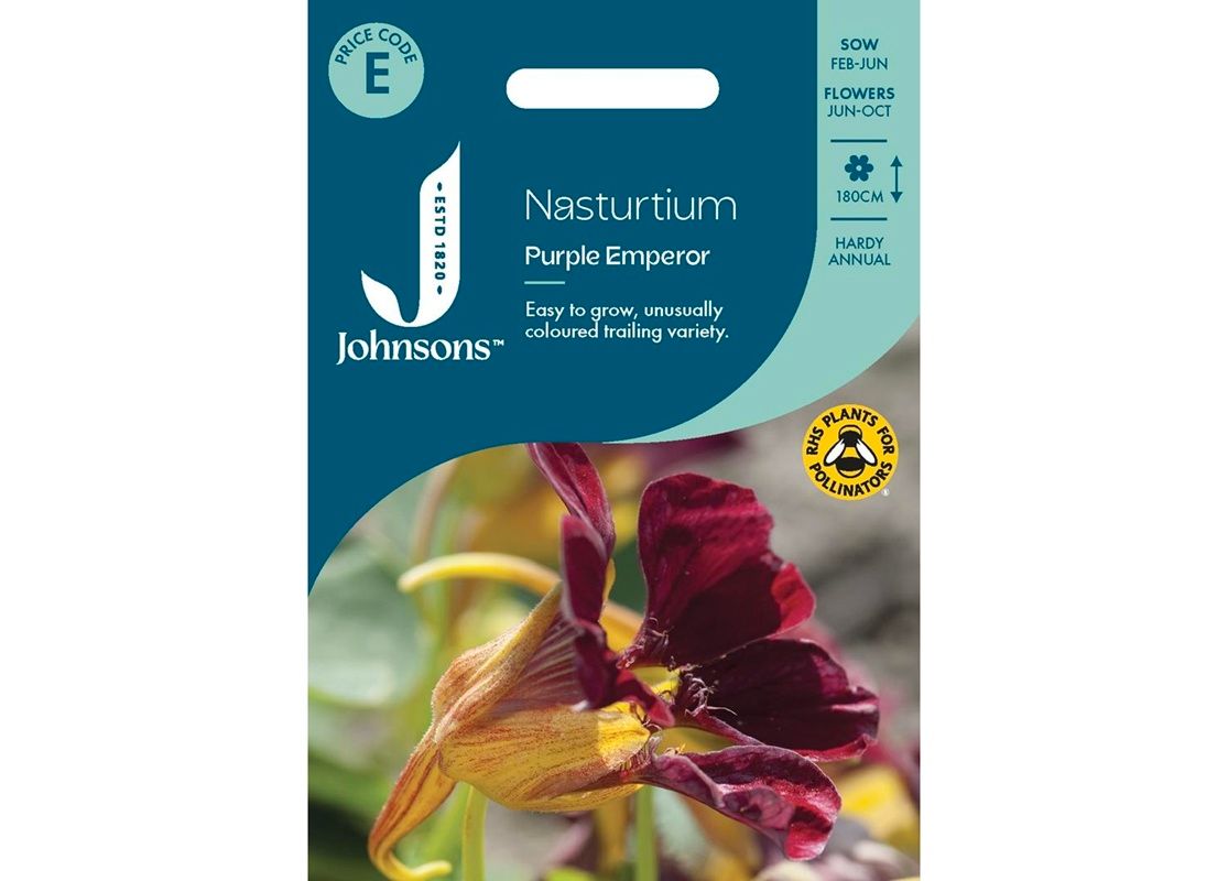 NASTURTIUM Purple Emperor
