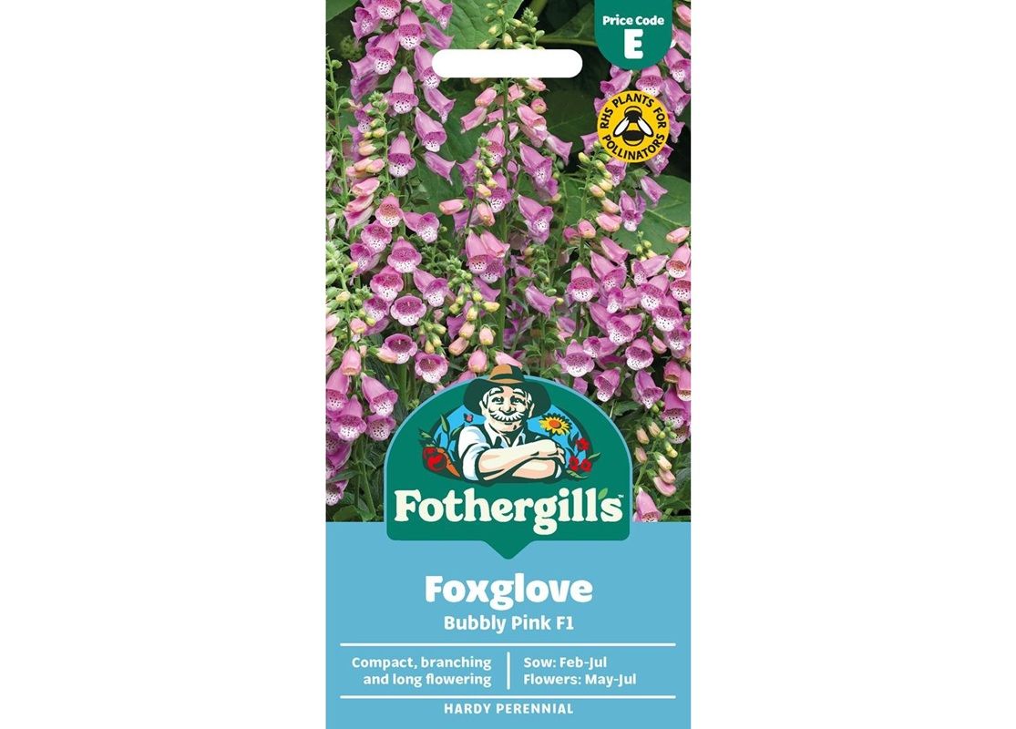 FOXGLOVE Bubbly Pink F1