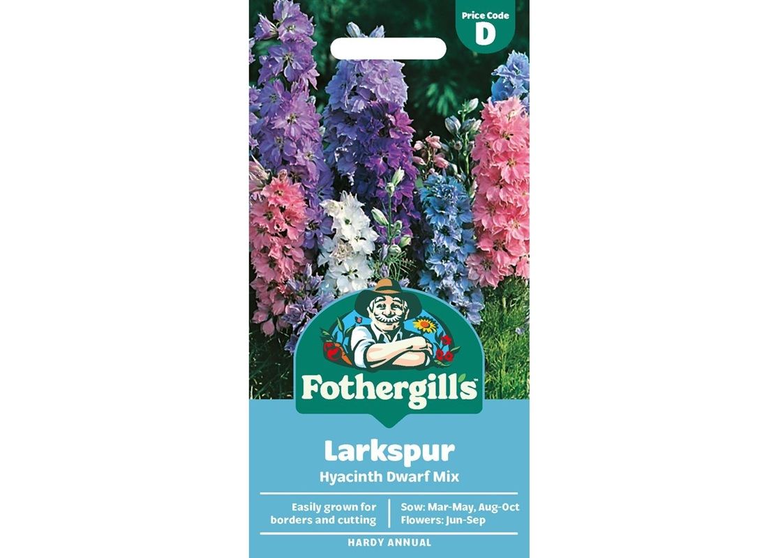 LARKSPUR Hyacinth Dwarf Mix