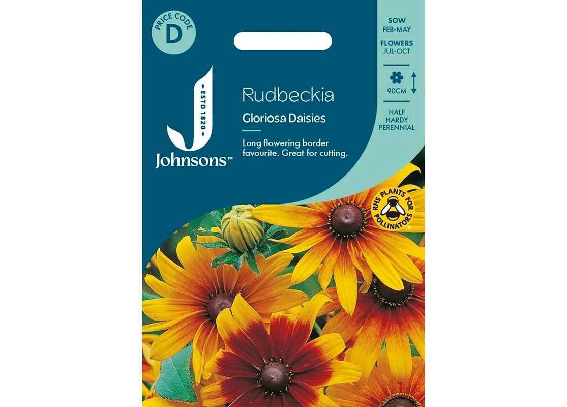 RUDBECKIA Gloriosa Daisies RUDBECKIA Gloriosa Daisies