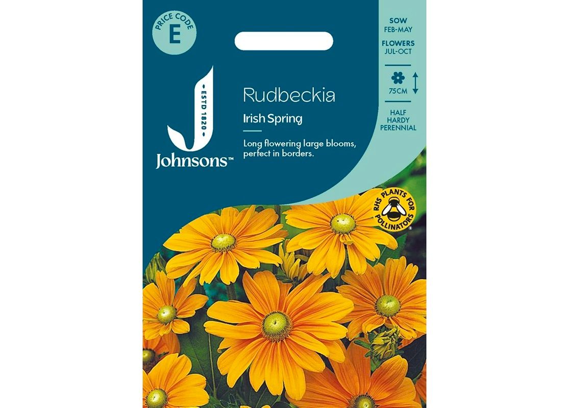 RUDBECKIA Irish Spring