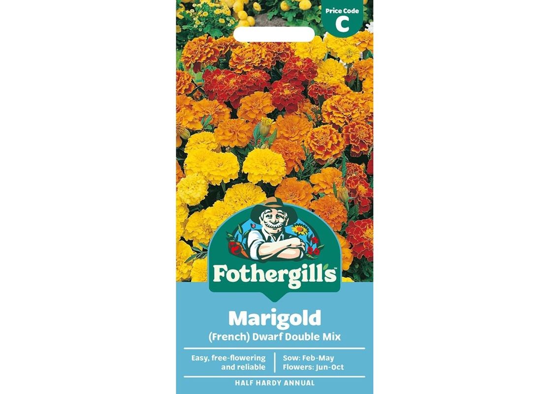 MARIGOLD (French) Dwarf Double Mix MARIGOLD (French) Dwarf Double Mix