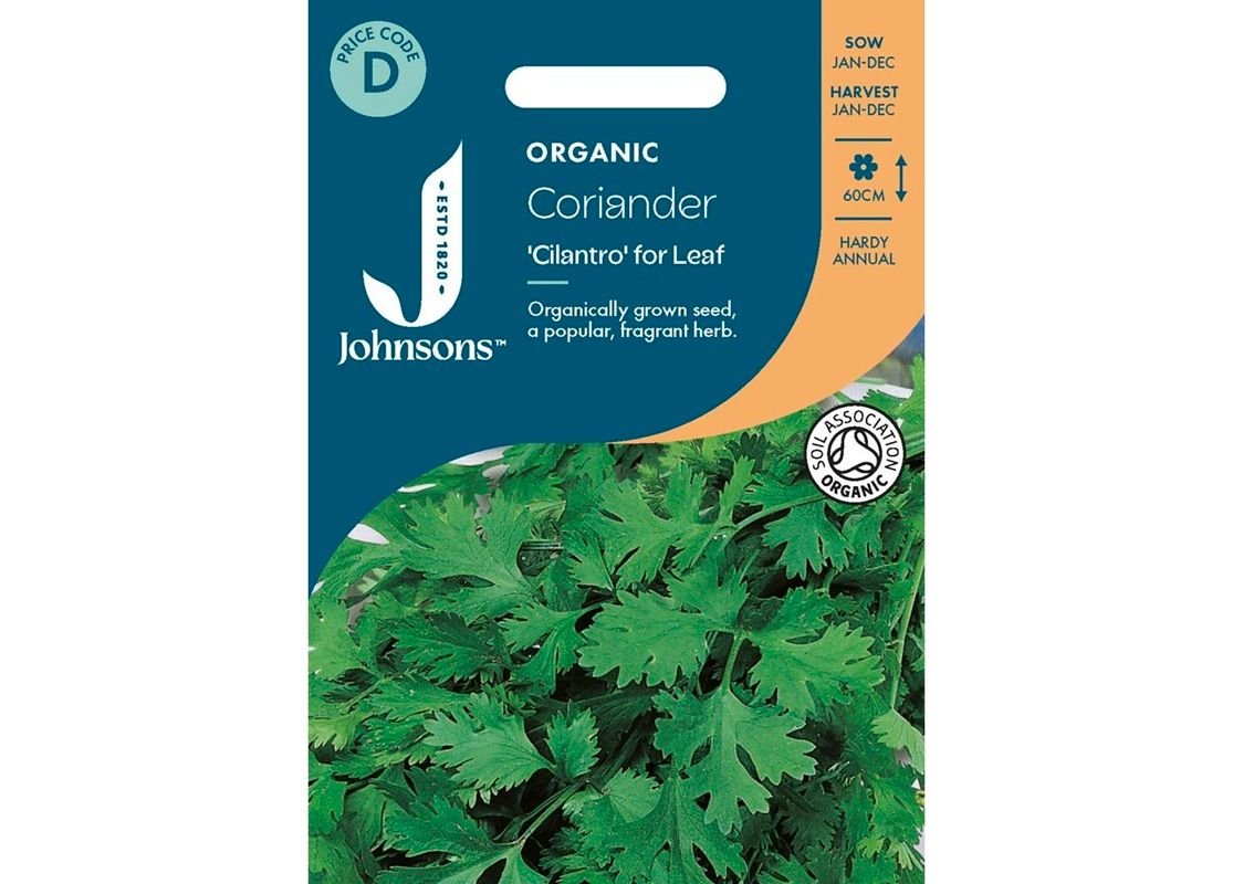 CORIANDER Cilantro for Leaf ORG CORIANDER Cilantro for Leaf ORG
