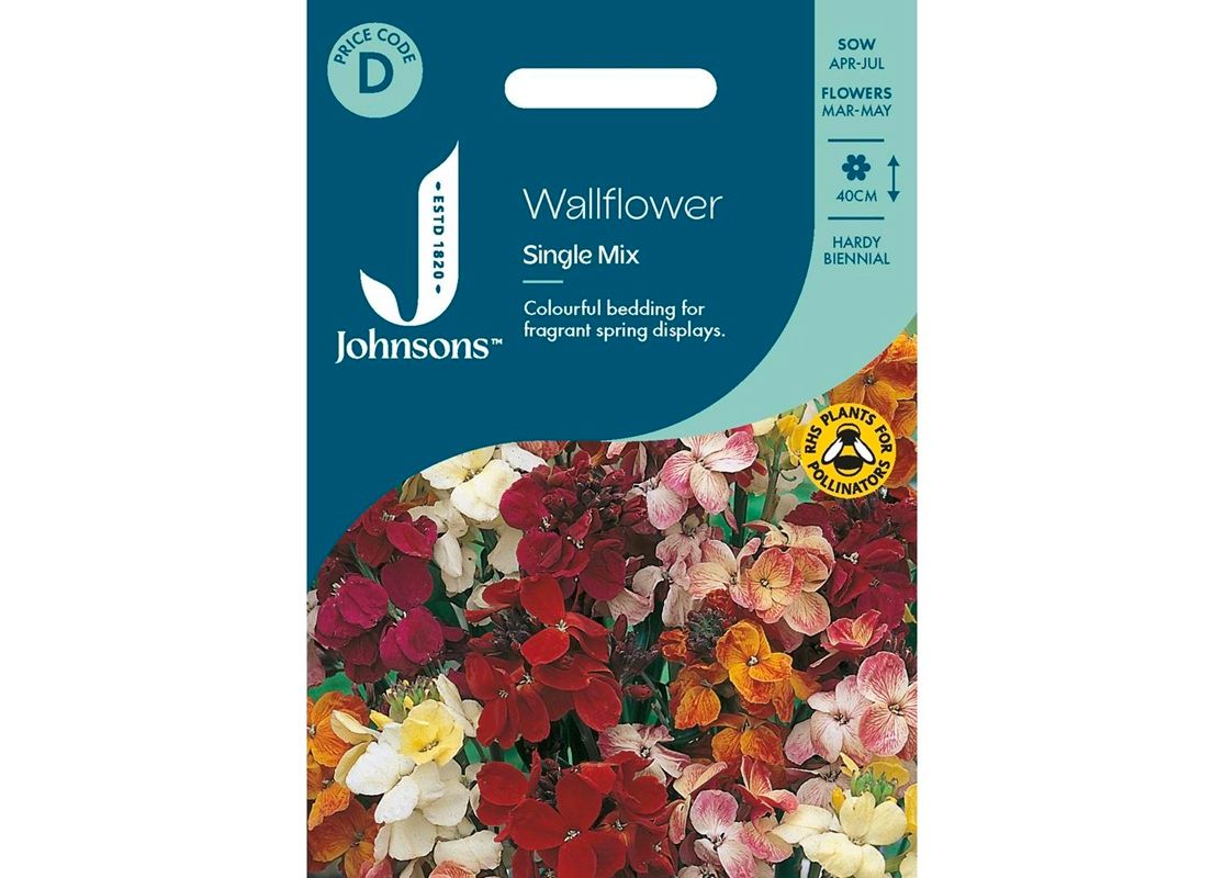 WALLFLOWER Single Mix WALLFLOWER Single Mix