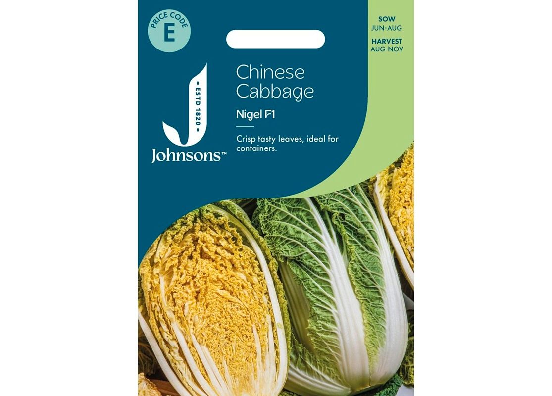 CHINESE CABBAGE Nigel F1 CHINESE CABBAGE Nigel F1