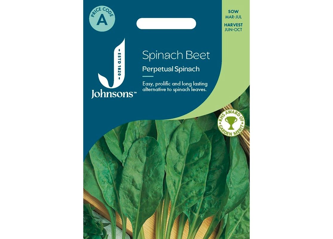 SPINACH BEET Perpetual Spinach