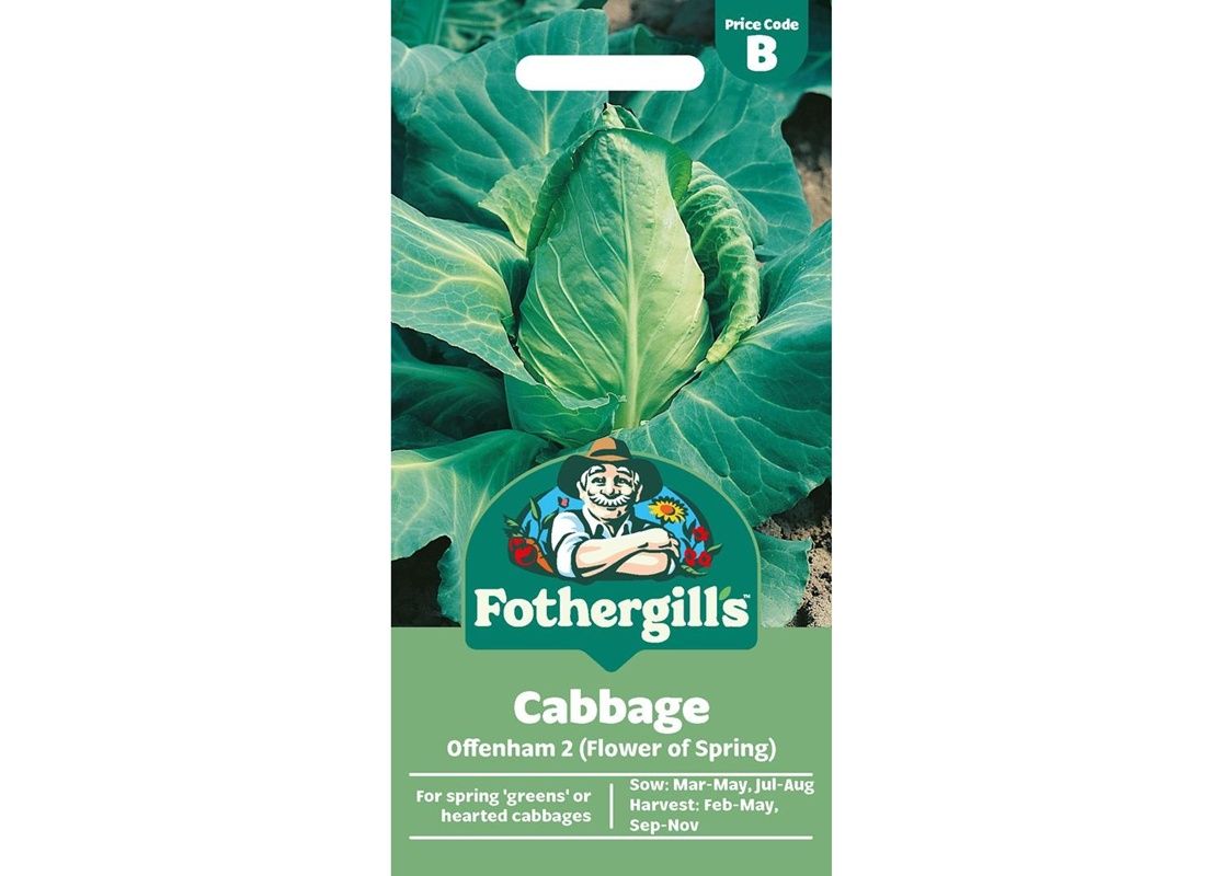CABBAGE Offenham 2 (Flower of Spring)