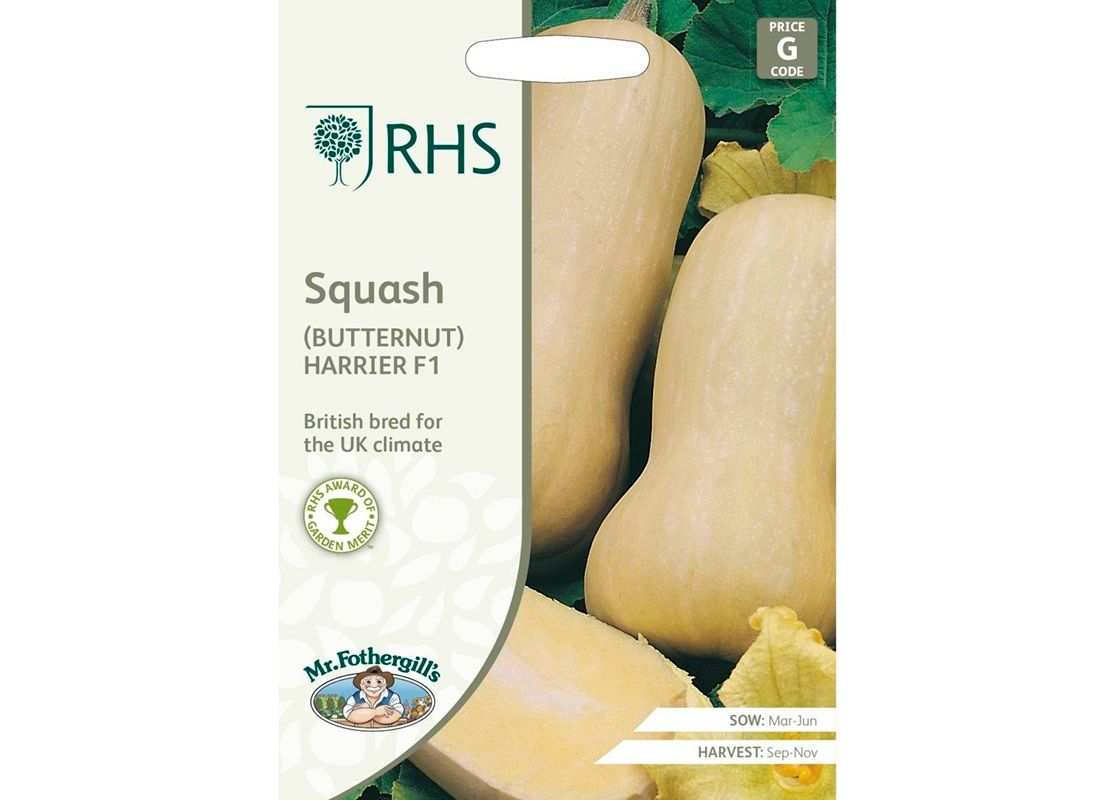 RHS SQUASH (butternut) Harrier F1