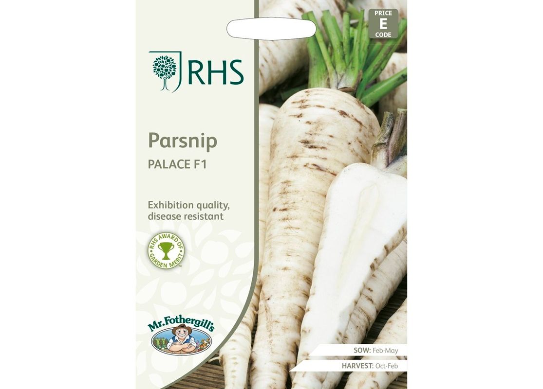 RHS PARSNIP Palace F1 RHS PARSNIP Palace F1