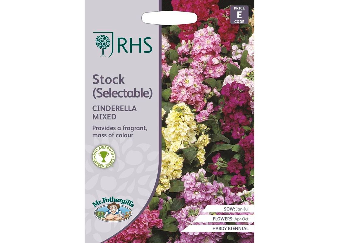 RHS STOCK Cinderella Series Mixed