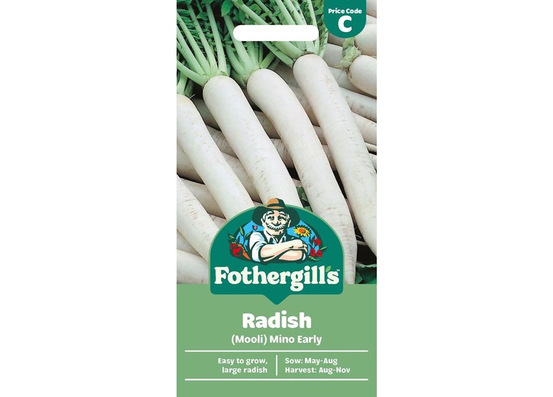 RADISH (Mooli) Mino Early