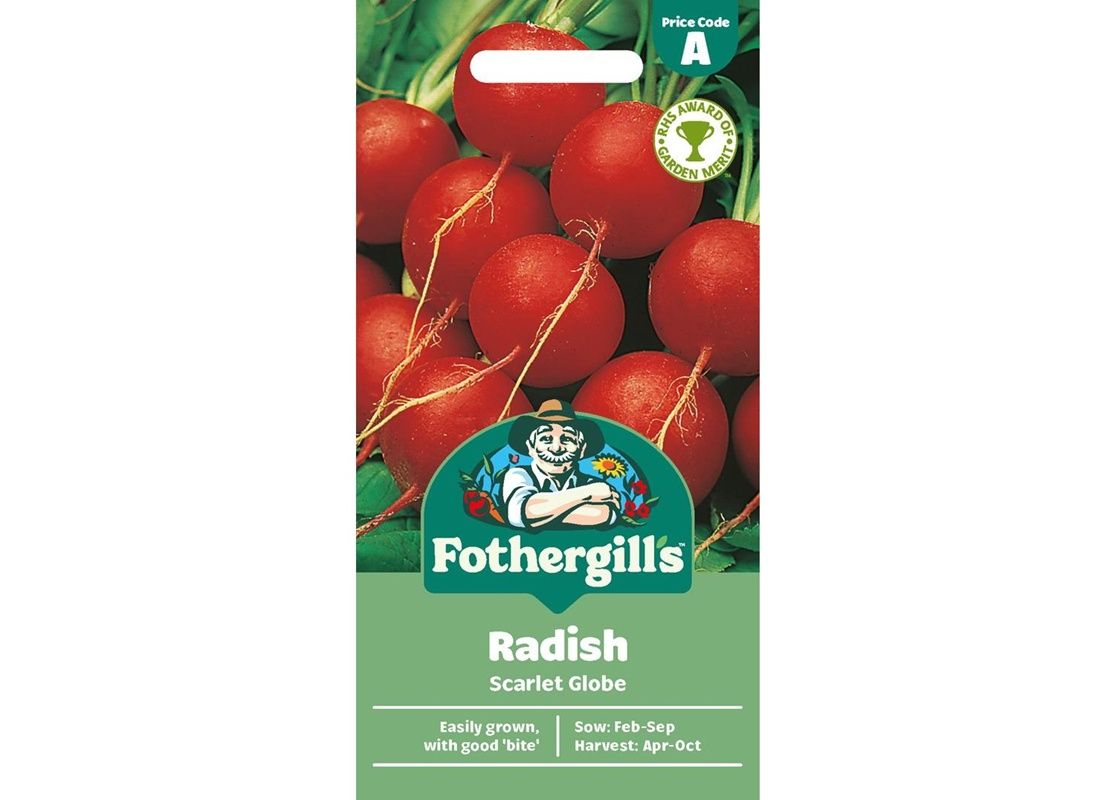 RADISH Scarlet Globe