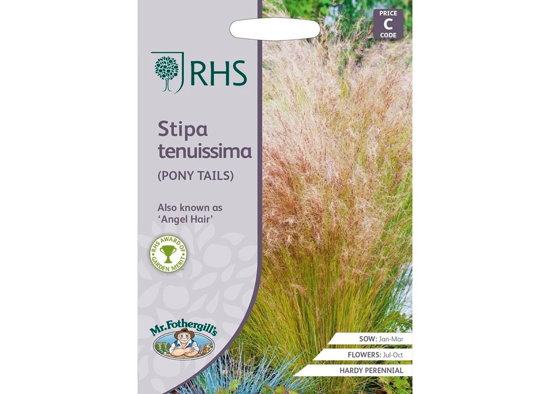 RHS STIPA TENUISSIMA (Pony Tails) RHS STIPA TENUISSIMA (Pony Tails)