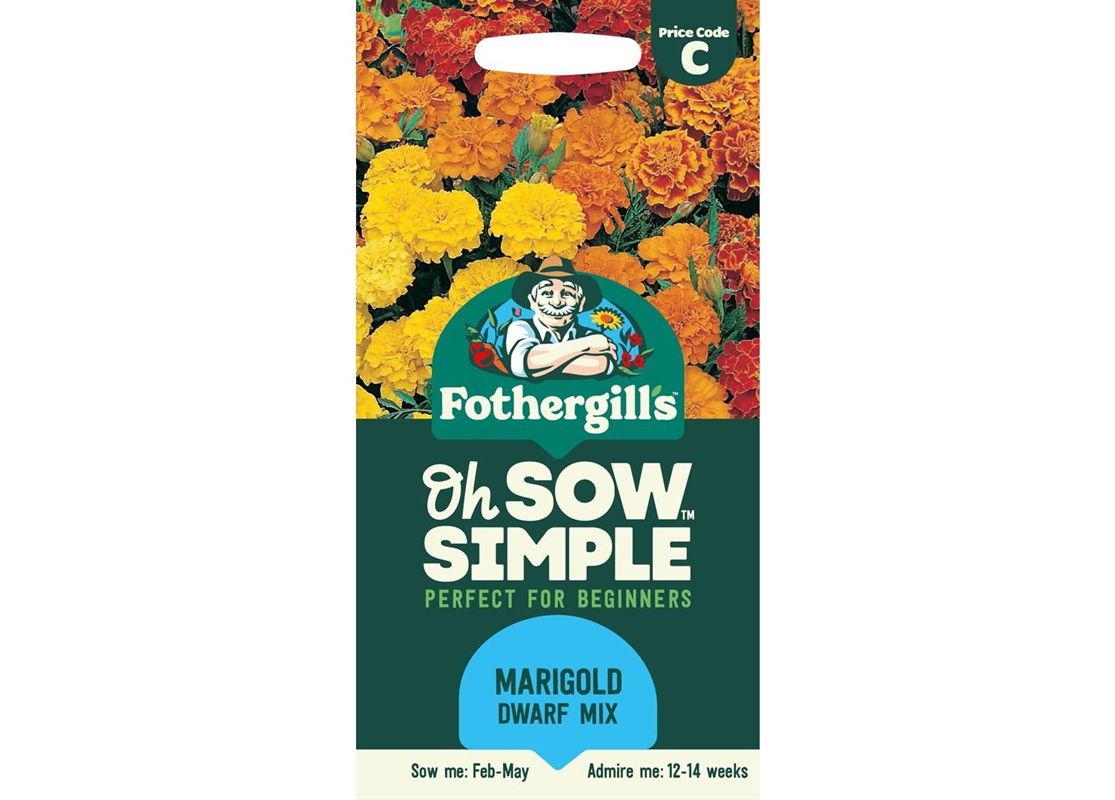 MARIGOLD (French) Dwarf Double Mixed