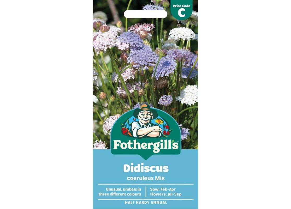 DIDISCUS coeruleus Mix