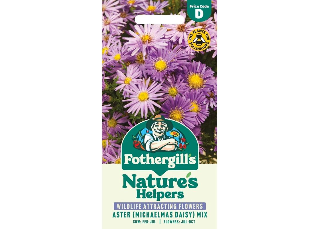 ASTER (Michaelmas Daisy) Mix