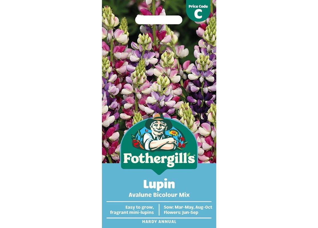 LUPIN Avalune Bicolour Mix