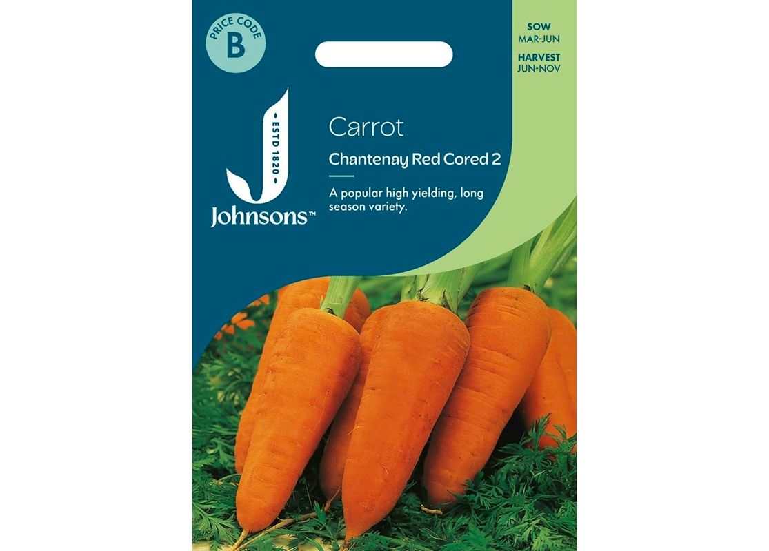 CARROT Chantenay Red Cored 2 CARROT Chantenay Red Cored 2