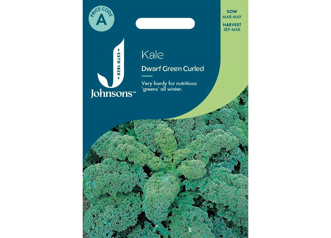 KALE Dwarf Green Curled KALE Dwarf Green Curled