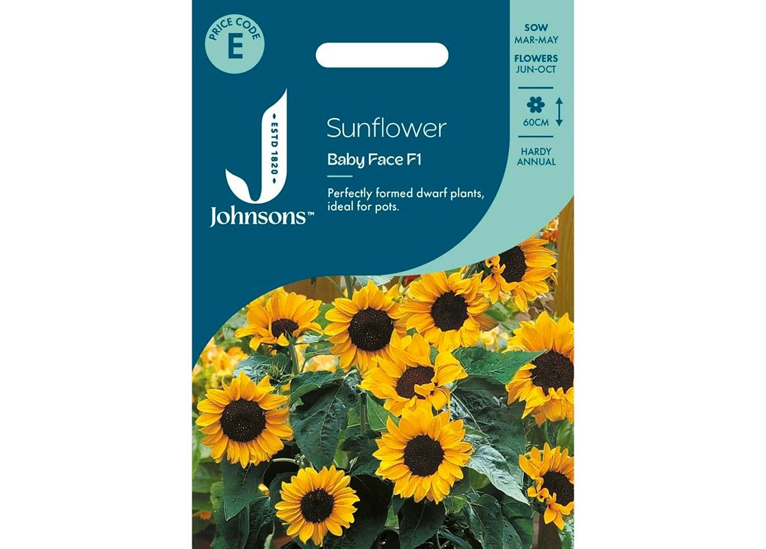 SUNFLOWER Baby Face F1 SUNFLOWER Baby Face F1