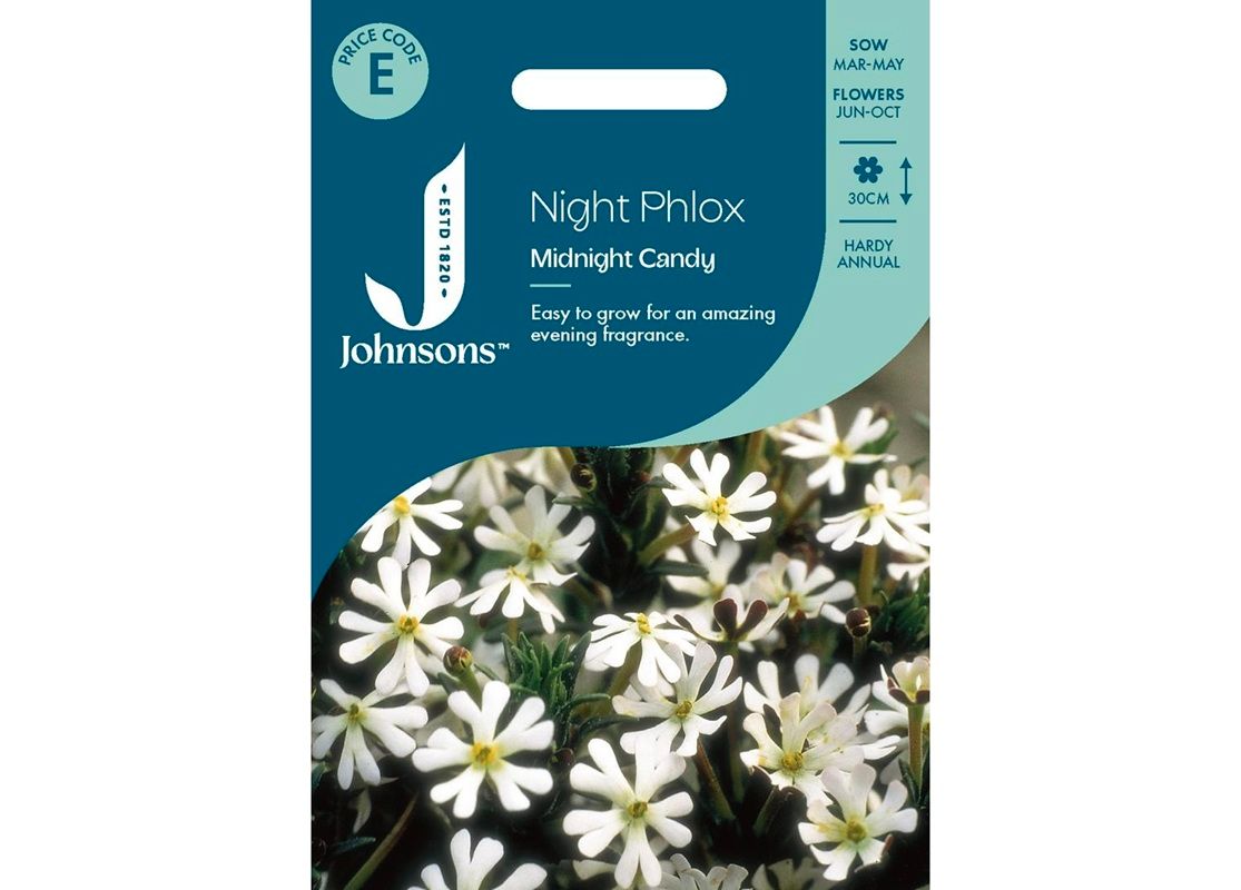 NIGHT PHLOX Midnight Candy NIGHT PHLOX Midnight Candy